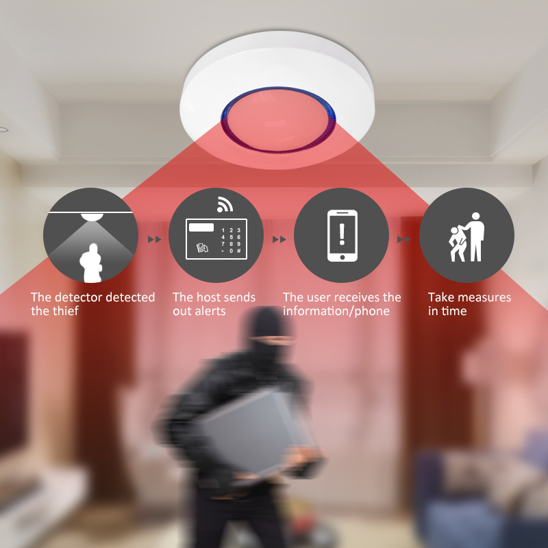 Bezprzewodowy sufitowy czujnik – Pet Immune Pir Sensor recenzja i cena