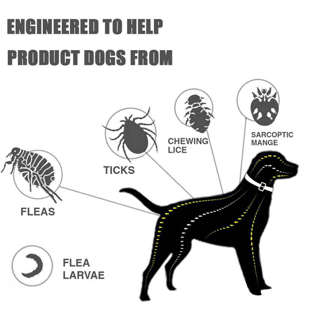 Obroża przeciw pchłom i kleszc – Pet Immune Pir Sensor recenzja i cena